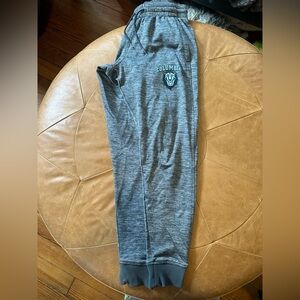 Columbia University Lions Under Armour Gray Unisex Joggers